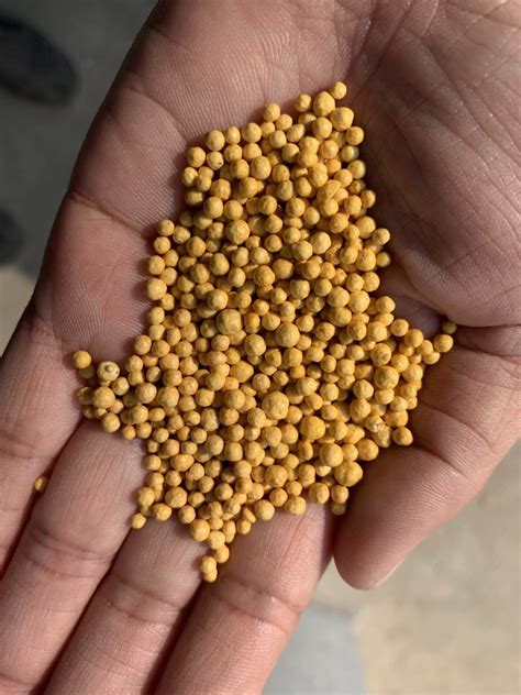 NPK Fertilizer Pelletizers: 4 Innovative Solutions for Enhanced Nutrient Delivery