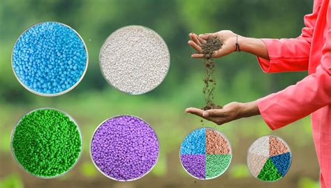 NPK Fertilizer Production Line Manufacturer: A Comprehensive Guide to Benefits and Applications