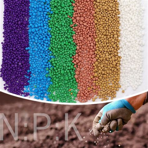 NPK Granular Machine: The Ultimate Guide to Efficiency