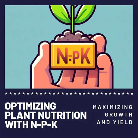 NPK Plant Manufacturer: A Comprehensive Guide to Enhancing Plant Health and Crop Productivity