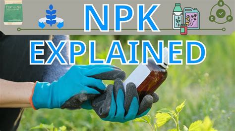 NPK Plant Manufacturer: The Ultimate Guide to Nitrogen, Phosphorus, and Potassium