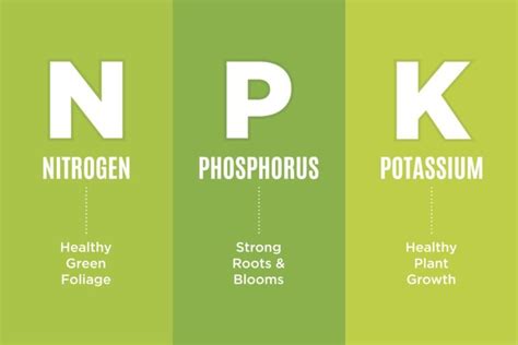 NPK Requirements Vary by Crop: