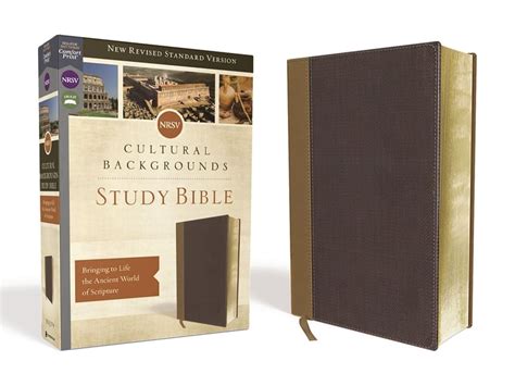 NRSV Cultural Backgrounds Study Bible Leathersoft Tan Brown Comfort Print Bringing to Life the Ancient World of Scripture PDF