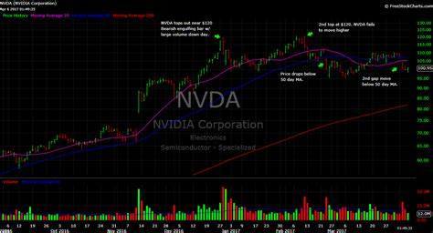 NVDA's Stock Performance: A Journey of Exponential Growth