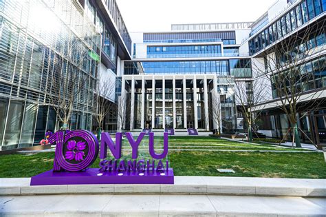 NYU Shanghai: A Global Hub of Academic Excellence with a Competitive Acceptance Rate