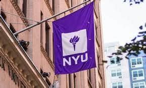 NYU Yield Rate: A Comprehensive Guide