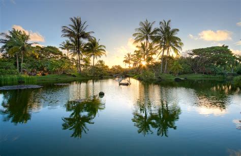 Na Aina Kai Botanical Gardens: A Tropical Oasis for Plant Lovers