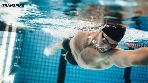 Nadadores Olímpicos: Um Guia Completo para Campeões das Piscinas