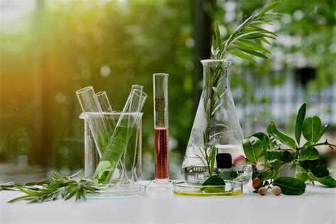 Nadinia: The Game-Changing Botanical Extract with Boundless Applications