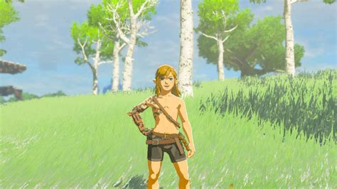 Naked Hippo Legend of Zelda: A Hyrulian Encounter with Nudity