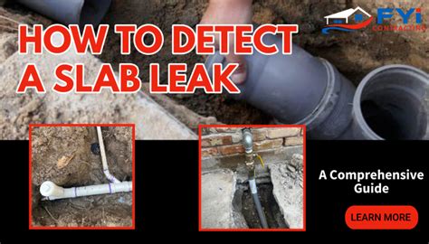 Nala Ray of Leak: A Comprehensive Guide to Prevent, Detect, and Repair Foundation Leaks