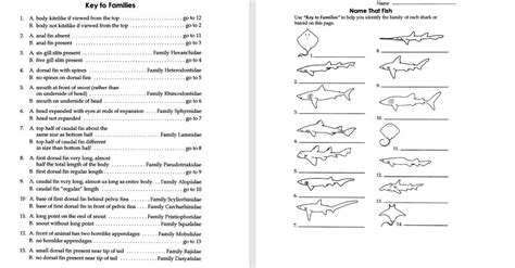 Name That Fish Answer Key Reader