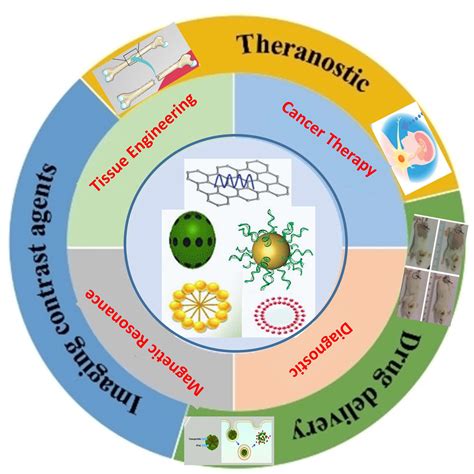 NanoScience in Biomedicine PDF