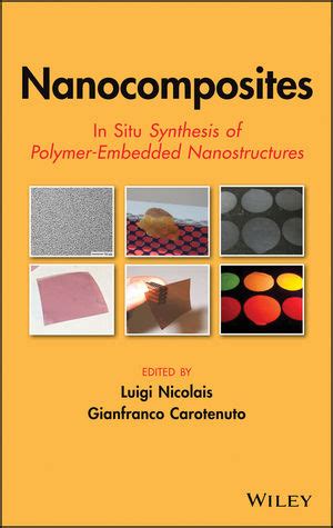 Nanocomposites: In Situ Synthesis of Polymer-Embedded Nanostructures Epub