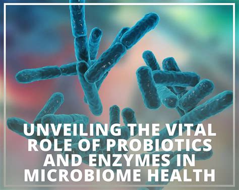 Nanoe Vaesen: Unveiling the Microbiome's Role in Personal Care and Health