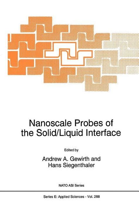 Nanoscale Probes of the Solid/Liquid Interface Kindle Editon