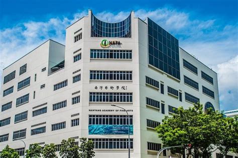 Nanyang Academy of Fine Arts (NAFA) School Fees: A Comprehensive Guide