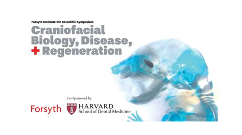 NaomiSosa: Unlocking a New World of Possibilities in Applied Craniofacial Biology