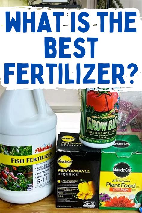 Naples Fertilizer: The Ultimate Guide to Beautifying Your Plants