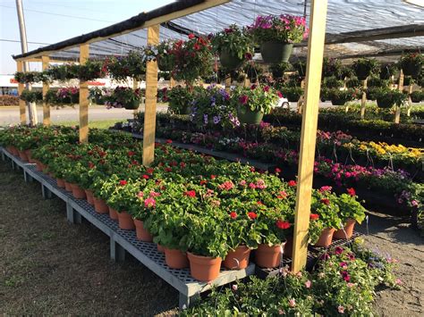 Naples Fertilizer and Garden Center: Your One-Stop Gardening Destination