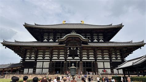 Nara: A Journey into Ancient Harmony