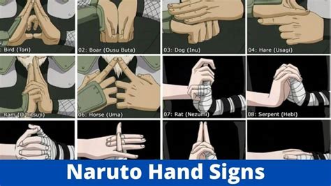 Naruto Ninja Hand Signs & Jutsu: Unveil the Secrets of the Hidden Leaf