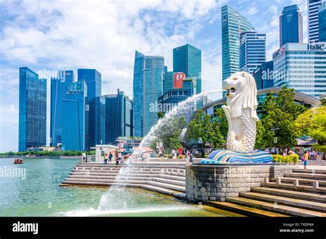 Nas Daily Singapore: An Exploration of the Lion City's Unique Charm and Global Significance