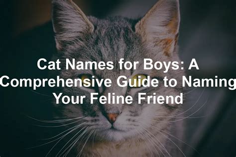 Nathalia Cat: A Comprehensive Guide to the Feline Friend with a Human Name