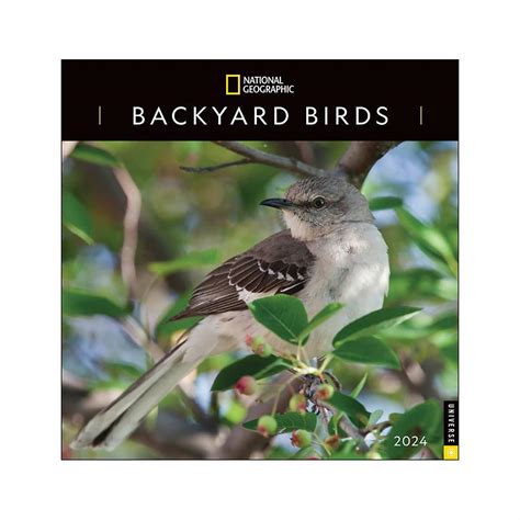 National Geographic Backyard Birds Calendar Kindle Editon