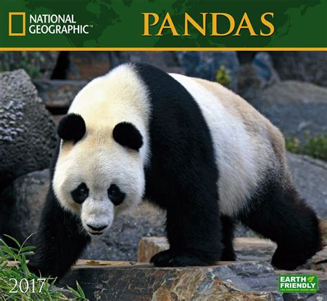 National Geographic Pandas 2017 Calendar Epub