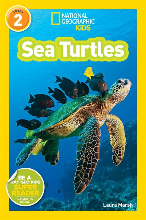 National Geographic Readers Turtles