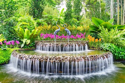 National Orchid Garden: