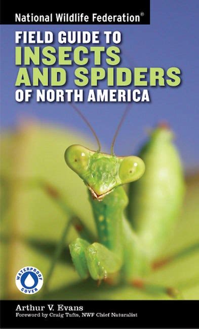 National Wildlife Federation Field Guide to Insects and Spiders &amp Epub