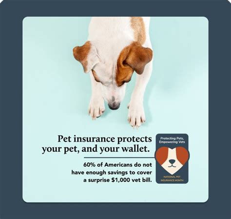 Nationwide Animal Insurance: Protect Your Furry Family for $99/Month