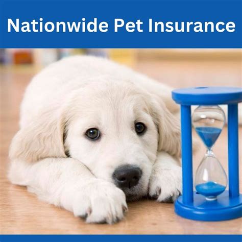 Nationwide Pet Insurance: Unleashing Comprehensive Coverage for Your Beloved Companions