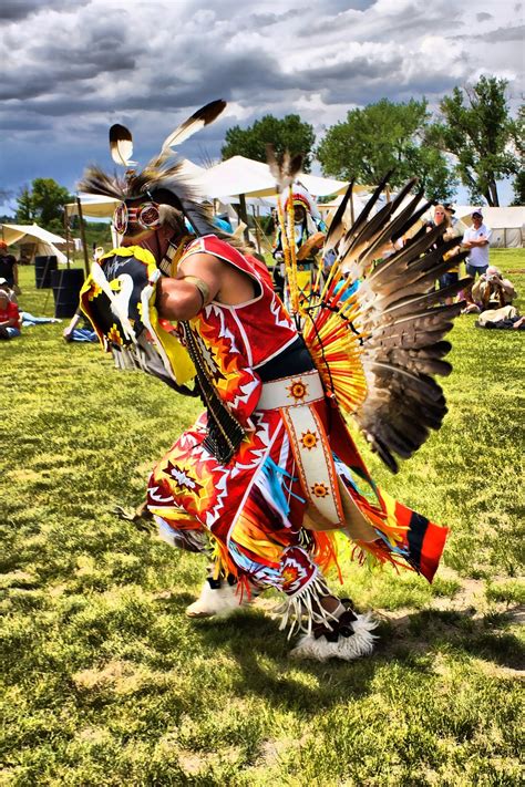 Native Dancer Reader