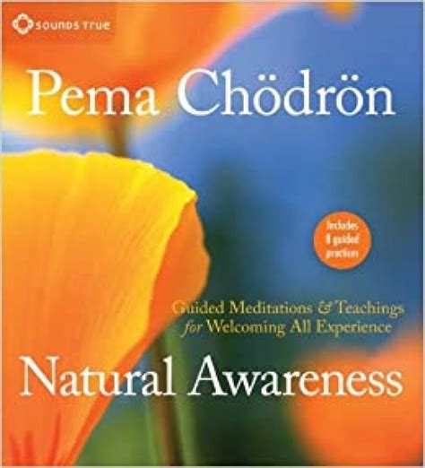 Natural Awareness Guided Meditations and Teachings for Welcoming All Experience PDF