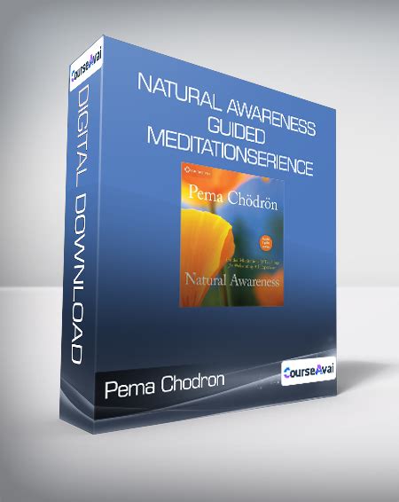 Natural Awareness Guided Meditations and Teachings for Welcoming All Experience PDF