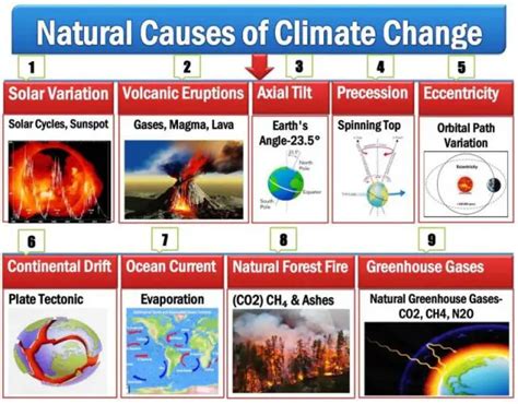 Natural Causes Epub