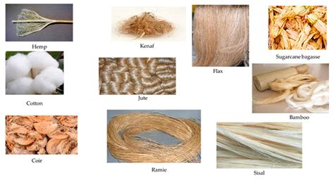 Natural Fibers, Plastics and Composites Epub