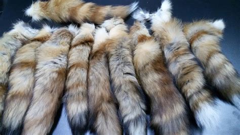 Natural Fox Tails: