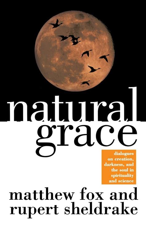 Natural Grace Dialogues on creation darkness and the soul in spirituality and science PDF