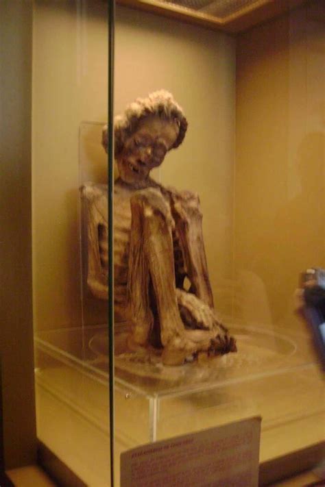 Natural Mummies: