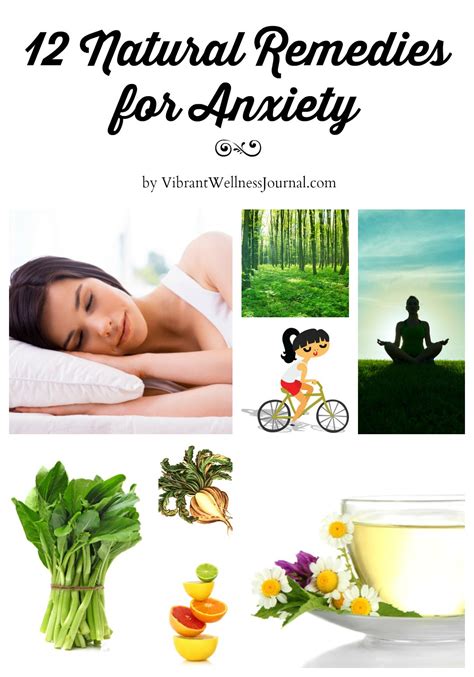Natural Remedies New Natural Formula Solutions for Health Problems Anxiety and Memory Loss Natural Health Natural Healing Healing Volume 1 Epub