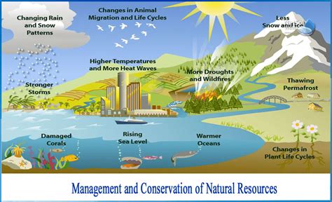 Natural Resource Management of Water and Land PDF