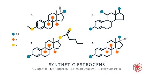 Natural and Synthetic Estrogens PDF