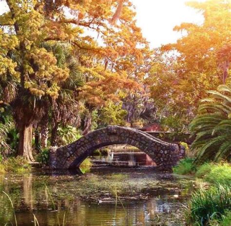 NaturallyNola: A Comprehensive Guide to New Orleans' Natural Wonders