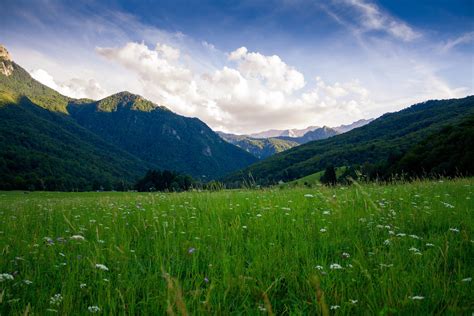 Nature; The Utility Of Religion and Theism Epub