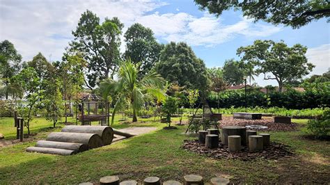 Nature's Embrace: Exploring Pasir Ris Park's Natural Landscape