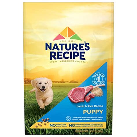 Nature's Recipe: The 7 Healthiest Dog Food Options